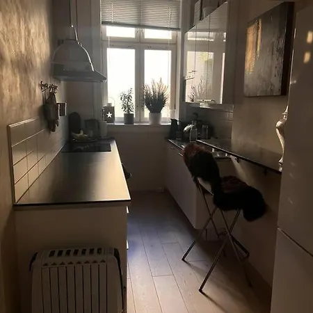 Royal Neighbourhood Elegant Flat In Oslo